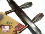 2007年珍品二胡大賽銀獎(jiǎng)二胡0274