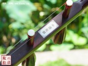 【已售】珍品整筒小葉紫檀二胡2483