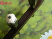 【已售】龍韻藏品老紅木二胡7877 查爾達(dá)斯